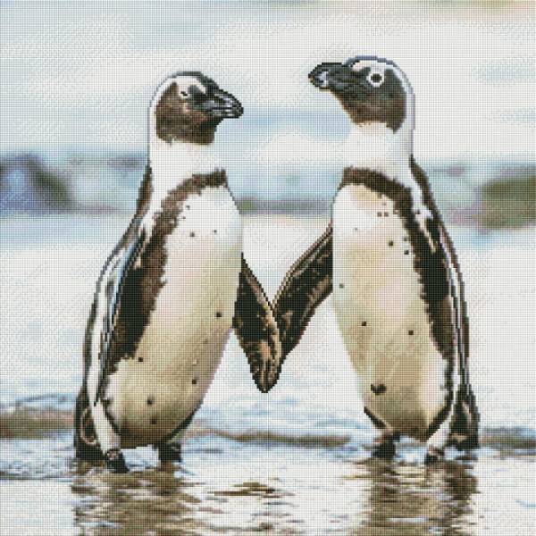 Diamond Painting Bild, Pinguinpaar, eckige Steinchen, 60x60cm, 45 Farben, Vollbild