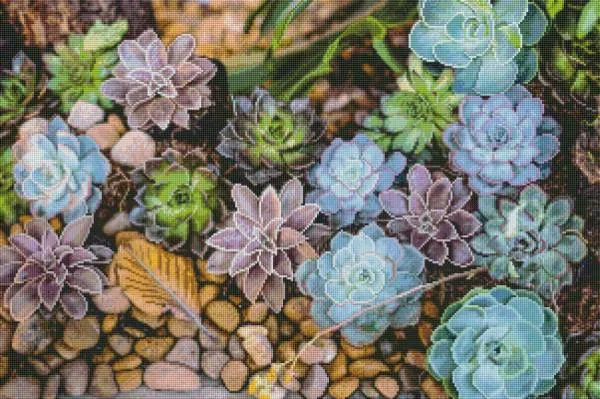 Diamond Painting picture, succulents, 75x50cm, 65 colors, square stones, full picture