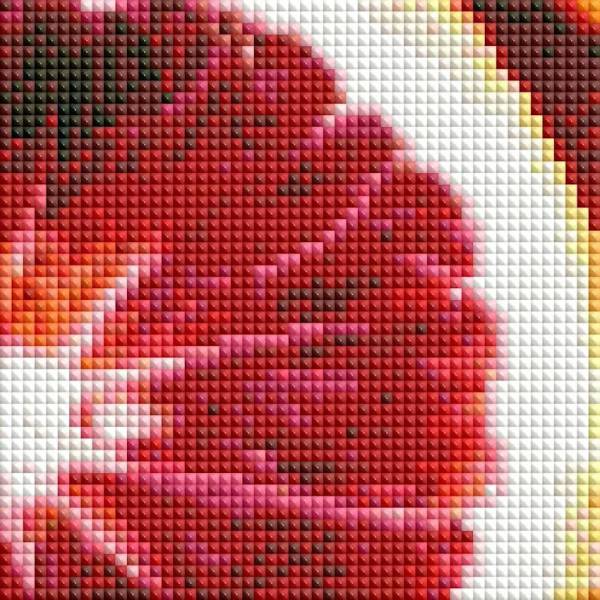 Auszug aus dem Bild - Beispiel - gepixelt