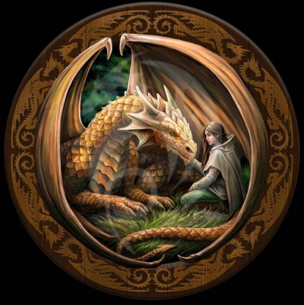 Vorlage (ohne Steine) Anne Stokes, Circle of Trust, 80x80cm, 60 Farben, für runde Steine, Vollbild