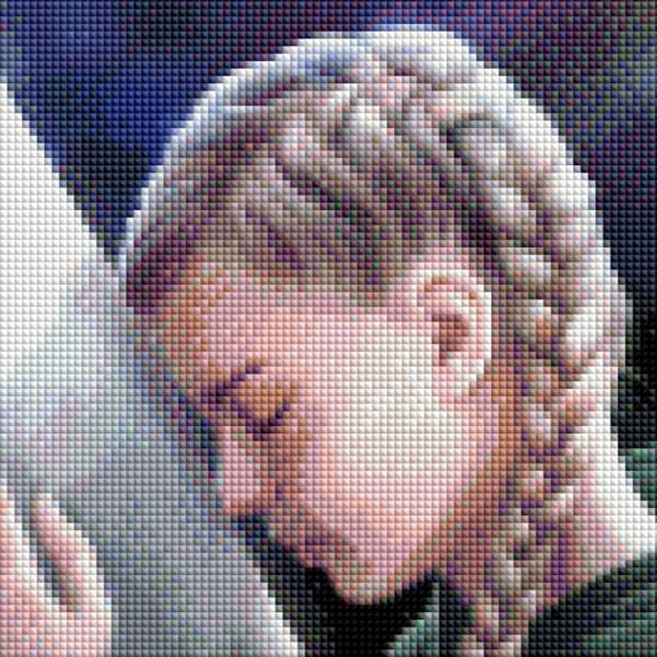 Auszug aus dem Bild - Beispiel - gepixelt