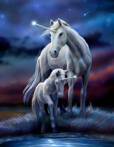 Anne Stokes, Eternal Bond, 60x75cm, 50 colors incl. 1 AB, round stones, full image