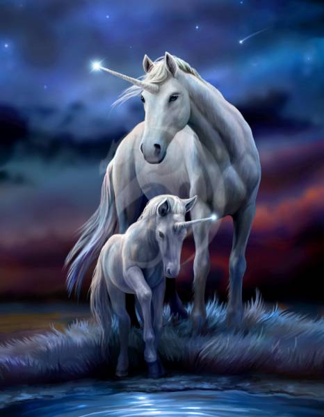 Anne Stokes, Eternal Bond, 60x75cm, 50 Farben inkl. 1 AB, eckige Steine, Vollbild
