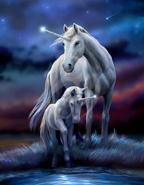 Anne Stokes, Eternal Bond, 60x75cm, 50 colors incl. 1 AB, square stones, full image