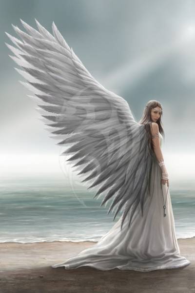 Anne Stokes, Spirit Guide, 100x150cm, 79 Farben inkl. AB & Feensteine, runde Steine, Vollbild