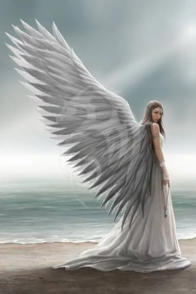 Anne Stokes, Spirit Guide, 100x150cm, 79 colors incl. AB & fairy stones, square stones, full picture