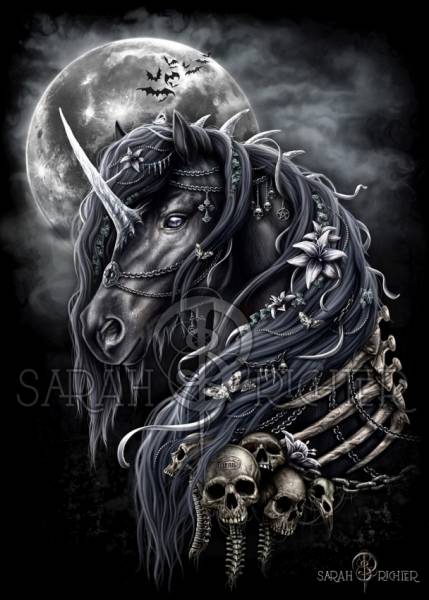 Sarah Richter, Dark Unicorn, 60x80cm, 30 Farben, runde Steine, Vollbild