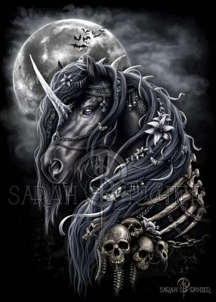 Sarah Richter, Dark Unicorn, 60x80cm, 30 Farben, runde Steine, Vollbild