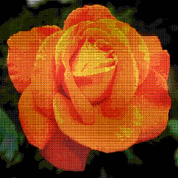 Diamond Painting Bild, Rose, orange, ca. 50x50cm, 75 Farben, runde Steinchen