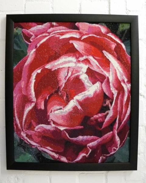 Diamond Painting Bild, Tulpe, gefüllt, runde Steinchen, ca. 67x55cm, 85 Farben