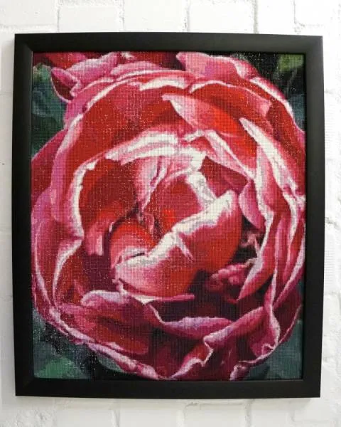 Diamond Painting Bild, Tulpe, gefüllt, 50x60cm, 85 Farben, eckige Steine, Vollbild