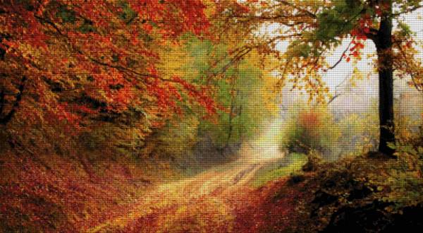 Diamond Painting Bild, Herbstwald, runde Steinchen, ca. 112x61 cm, 180 Farben