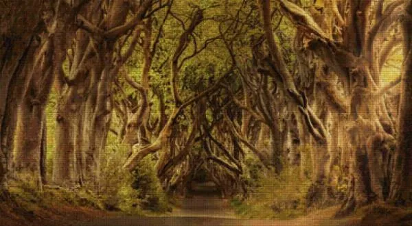 Diamond Painting Bild, Mystical Forest, 112x61cm, 75 Farben, runde Steine, Vollbild