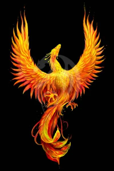 Anne Stokes, Phoenix, 60x90cm, 30 Farben, eckige Strass-Steine, Vollbild