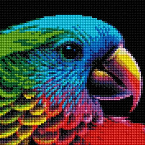 Diamond Painting Bild, bunter Papagei, 60x70cm, 50 Farben, eckige Strass-Steine, Vollbild