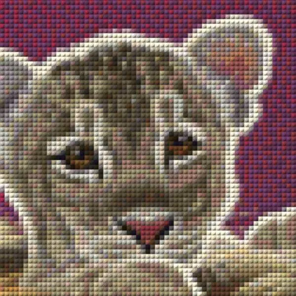 Auszug aus dem Bild - Beispiel - gepixelt