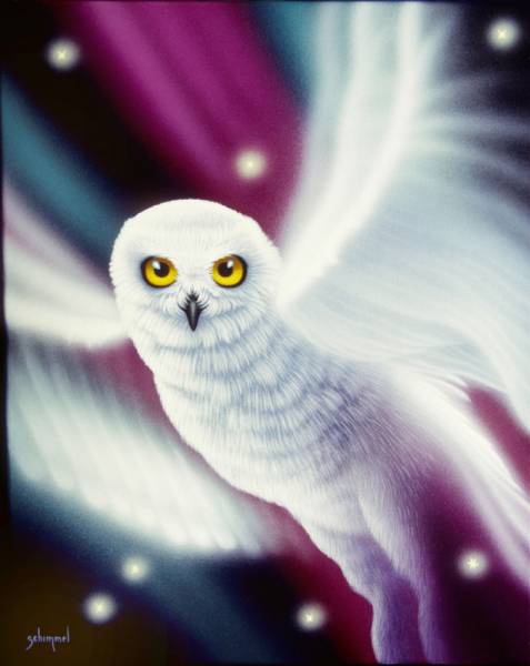 Vorlage (ohne Steine) Schim Schimmel, Wings of Light, eckige Steine, ca. 70x90cm, 55 Farben, Vollbild