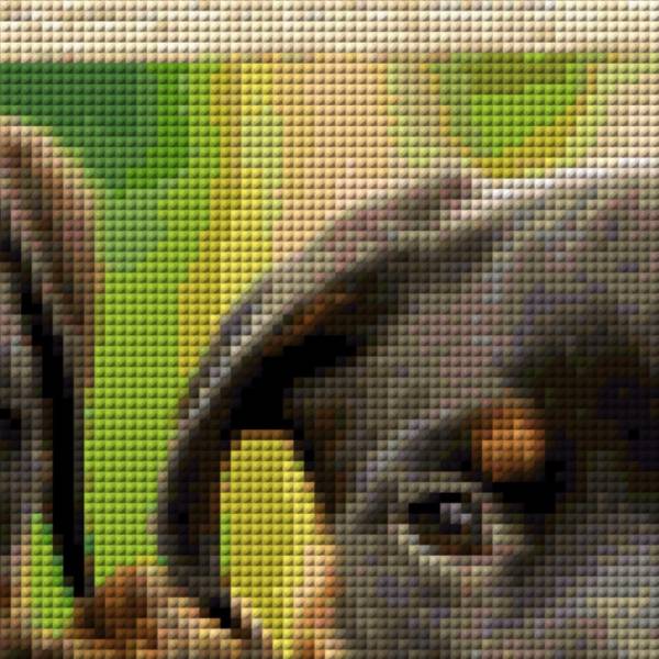 Diamond Painting Bild, Rottweiler Welpen, runde Steinchen, ca. 55x33cm, 89 Farben, Vollbild
