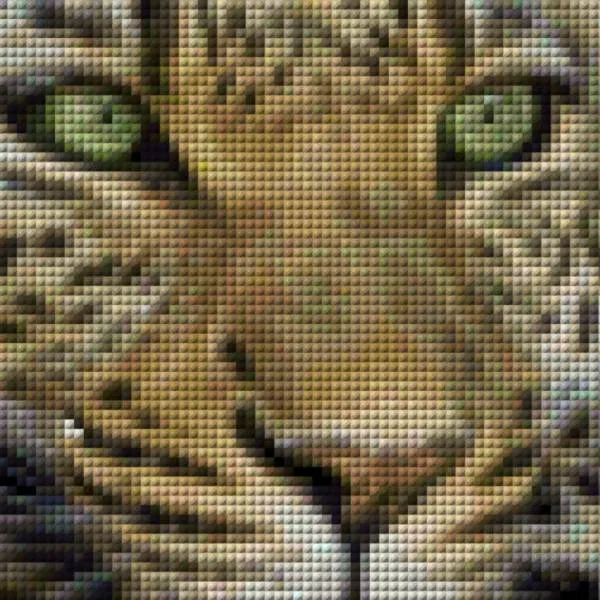 Diamond Painting Bild, Leopard, 79x53cm, 100 Farben, runde Steine, Vollbild