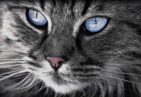 Diamond Painting Bild, Katzenportrait, eckige Steinchen, ca. 80x55cm, 80 Farben, Vollbild