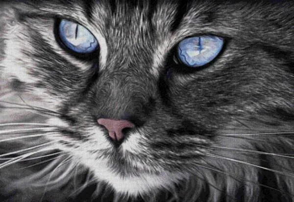 Diamond Painting Bild, Katzenportrait, 90x61cm, 80 Farben, runde Steine, Vollbild
