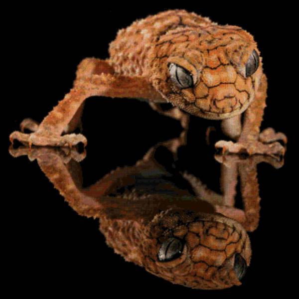 Diamond Painting Bild, Gecko, eckige Steinchen, ca. 80x80 cm, 100 Farben