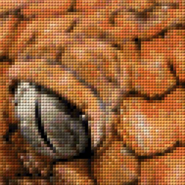 Auszug aus dem Bild - Beispiel - gepixelt