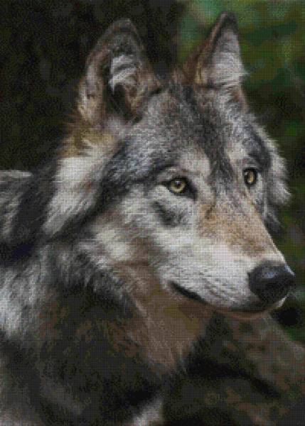 Diamond Painting Bild, Wolf, eckige Steinchen, ca. 70x50 cm, 70 Farben