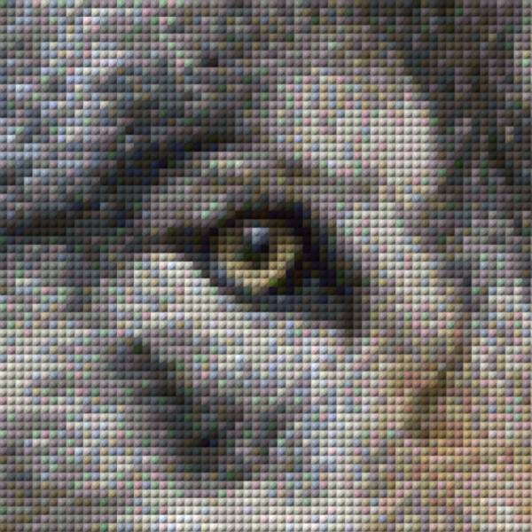 Auszug aus dem Bild - Beispiel - gepixelt