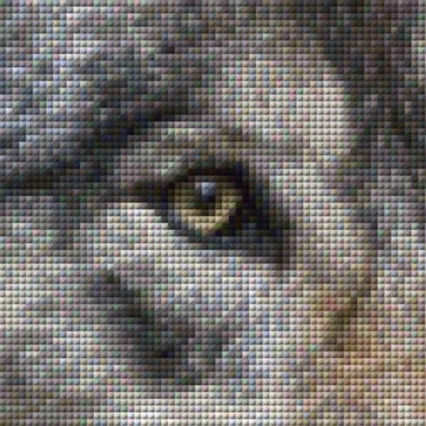 Auszug aus dem Bild - Beispiel - gepixelt
