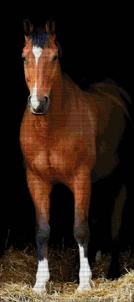 Diamond Painting Bild, Pferd, stehend, 40x90cm, 120 Farben, eckige Steine, Vollbild