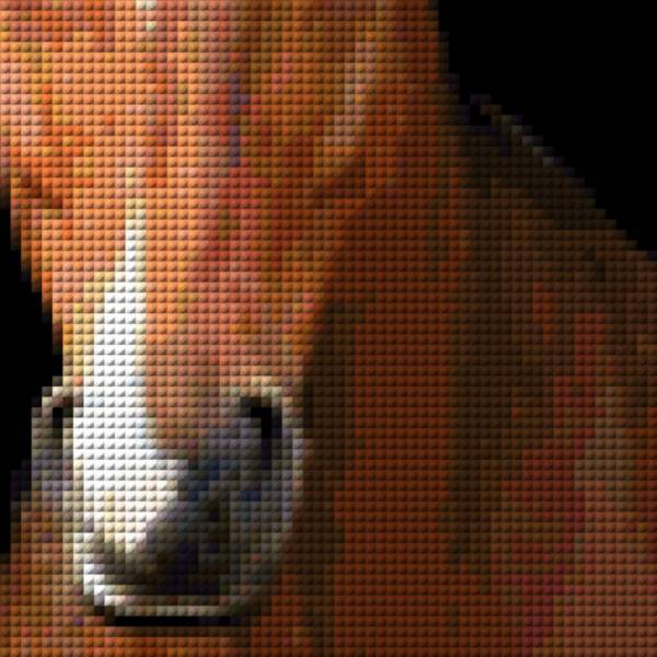 Diamond Painting picture, horse, standing, square stones, approx. 90x40cm, 120 colors