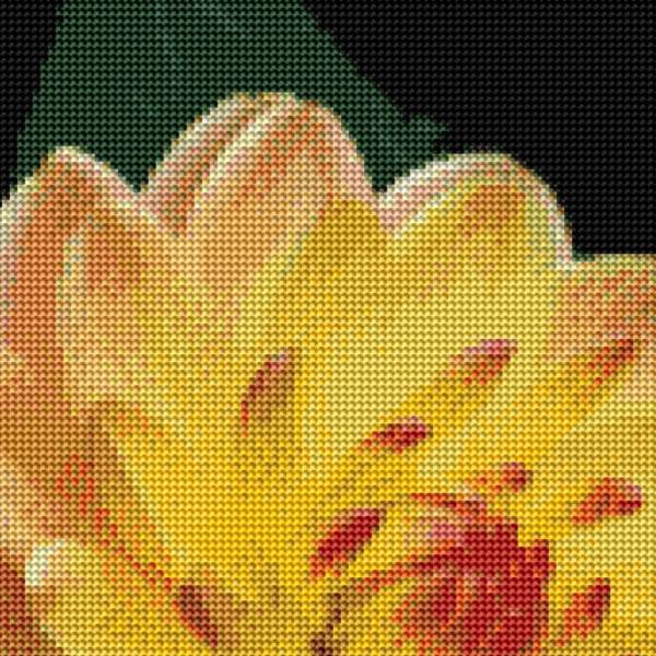 Diamond Painting Bild, Dahlie, orange, 50x50cm, 40 Farben, runde Steine, Vollbild