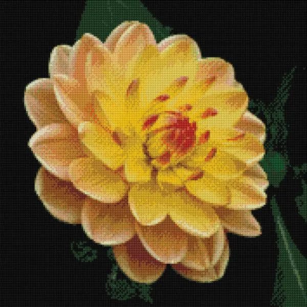 Diamond Painting Bild, Dahlie, orange, 50x50cm, 40 Farben, runde Steine, Vollbild