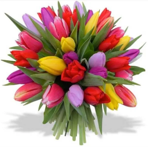 GRATIS Diamond Painting Anfänger Bild, Tulpenstrauss, 30x30cm, 30 Farben, runde Steine, Vollbild