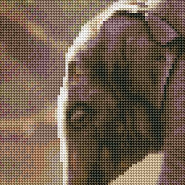 Auszug aus dem Bild - Beispiel - gepixelt