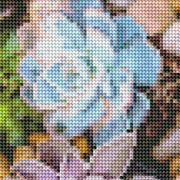 Auszug aus dem Bild - Beispiel - gepixelt