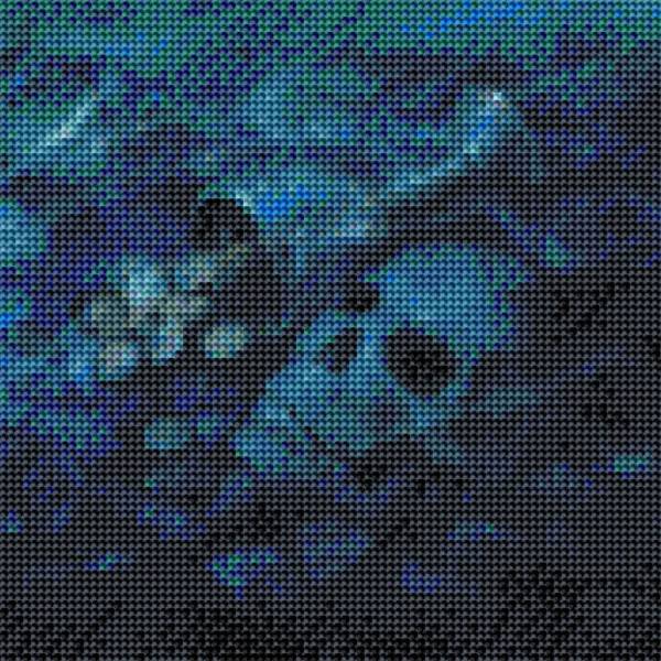 Auszug aus dem Bild - Beispiel - gepixelt