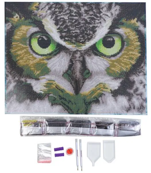 Crystal Art Kit, auf Keilrahmen gespannt, The Wise One (Eule), runde Steine, ca. 50x40cm, Vollbild