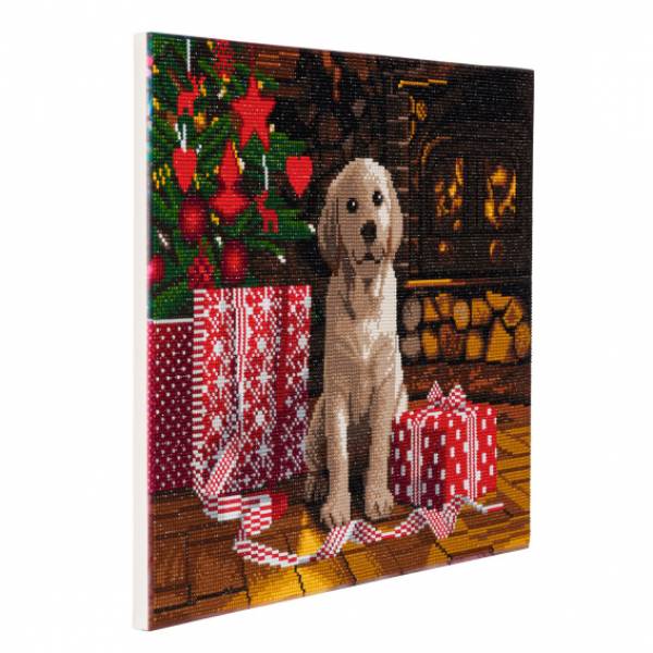 Diamond Painting Bild auf Keilrahmen gespannt, Labrador Pup, runde Diamanten, ca. 50x40cm, Vollbild