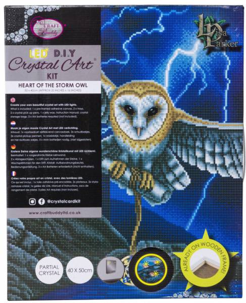 Diamond Painting Bild mit LED Beleuchtung, Heart of the Storm, runde Diamanten, ca. 50x40cm, Vollbild
