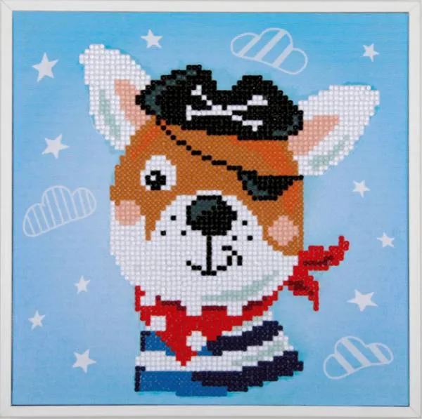Diamond Painting Bild, Pirate dog, 21,5x21,5cm, 11 Farben, runde Steine, Teilbild mit Bilderrahmen