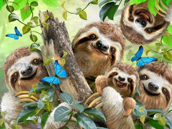Howard Robinson, Sloth Selfie, 90x65cm, 60 Farben, runde Steine, Vollbild