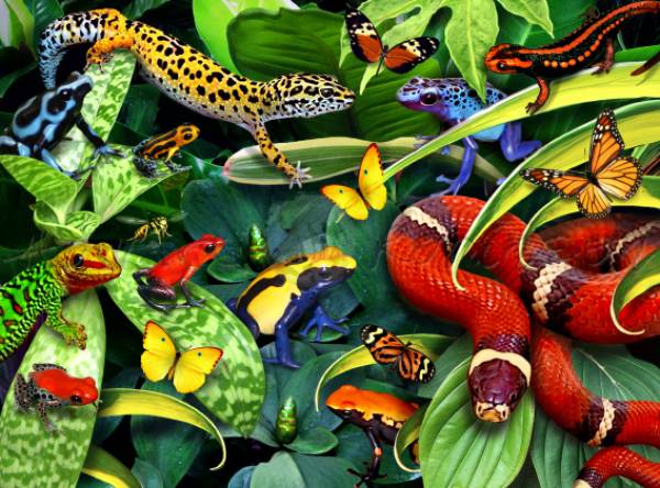 Howard Robinson, Jumpers and Crawlers, 65x90cm, 70 colours, round stones, full image