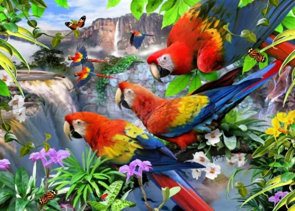 Howard Robinson, Flight of the Macaw, 90x65cm, 70 Farben, runde Steine, Vollbild