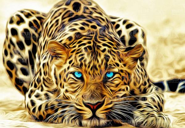 Diamond Painting Bild, Leopard, ca. 60x90cm, 45 Farben, runde Steinchen, Vollbild