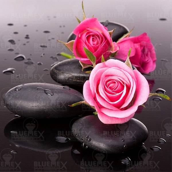 Diamond Painting Bild, rosa Rosen mit Stein, eckige Steinchen, 50x50cm, 35 Farben, Vollbild