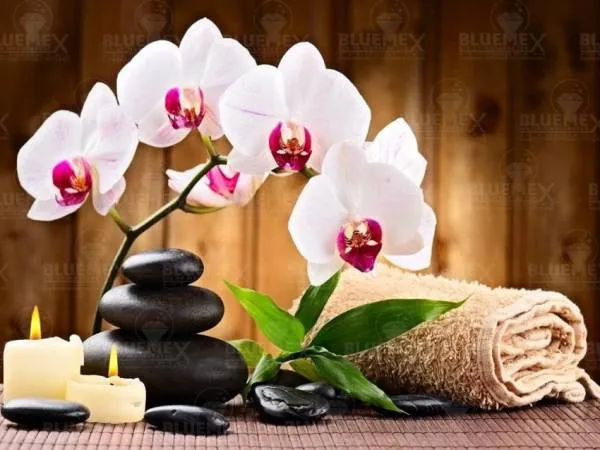 Diamond Painting picture, white/red orchid with candles, 60x40cm, 35 colors, square stones, full image