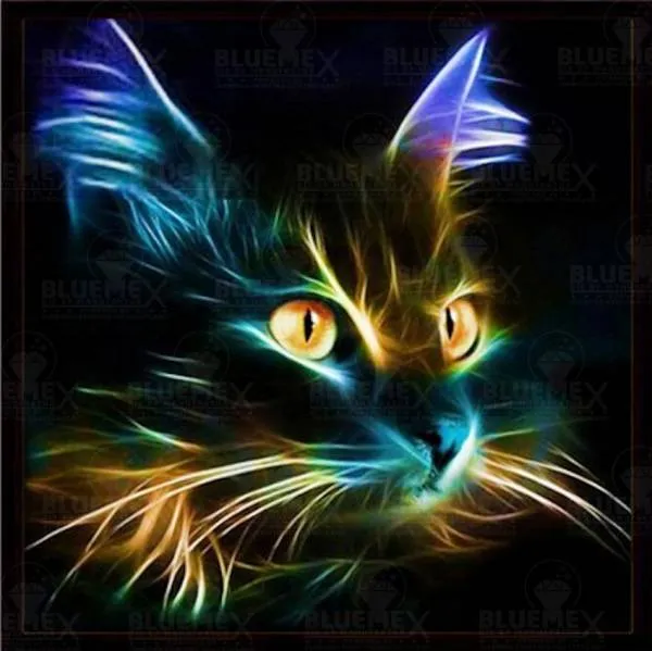Diamond Painting picture, cat, 70x70cm, 50 colors, square stones, full image