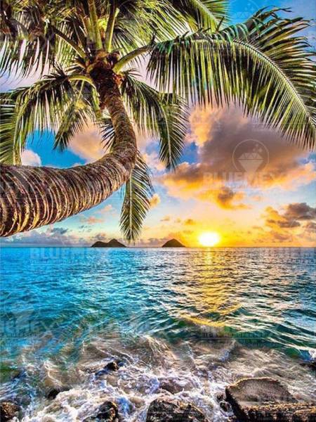 Diamond Painting picture, palm tree by the sea, square stones, about 90x65cm, 50 colors, full image